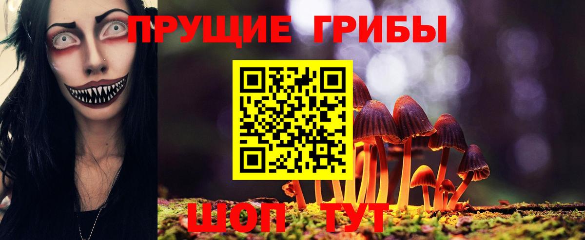 Ессентуки  магазин    Вход с VPN  Псилоцибиновые грибы мицелий 